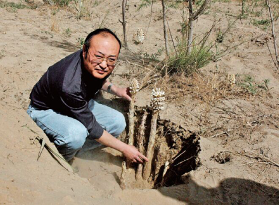 1530677426821304.png 356.png