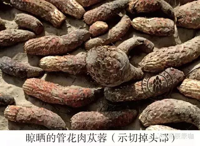 1531450353936844.jpg 5 晾晒的德赢vwin登录
.jpg