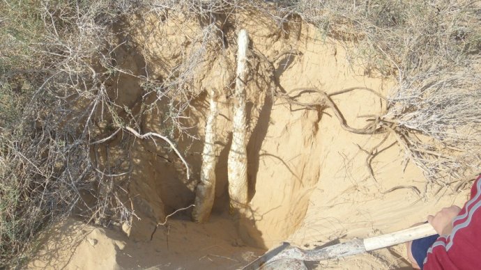 1533006712445594.jpg 63b0e4e9g76243f5038ac&690&690.jpg