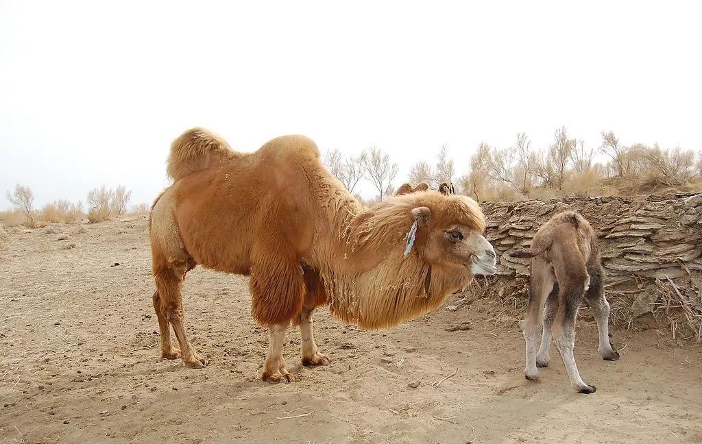 1574304578754218.jpg 微信图片_20191121104714.jpg