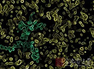 1575430904203841.jpg 微信图片_20191204113938.jpg