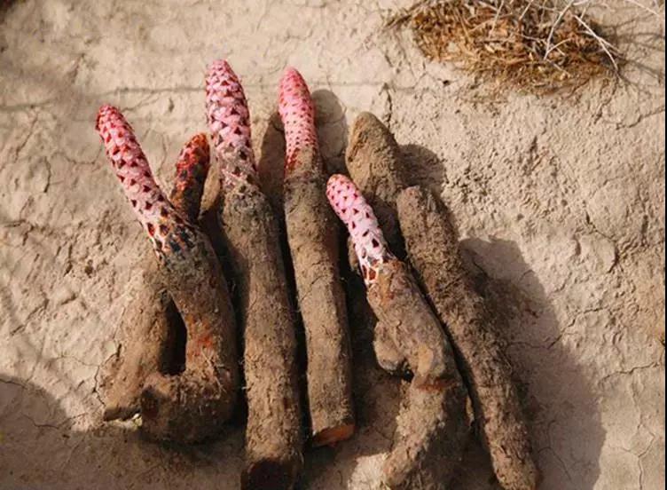 1575963204708604.jpg 微信图片_20191210153043.jpg