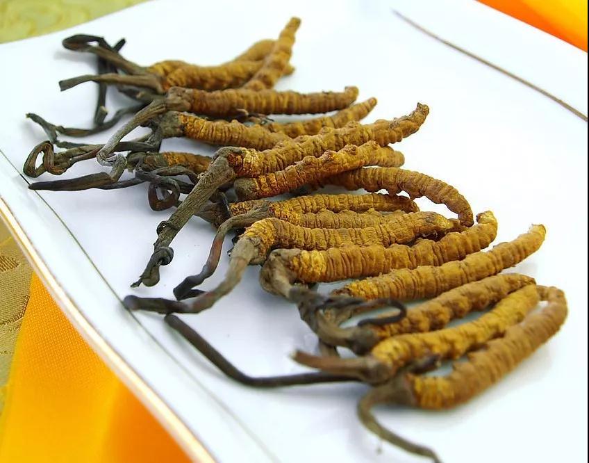 1575963310475113.jpg 微信图片_20191210153058.jpg