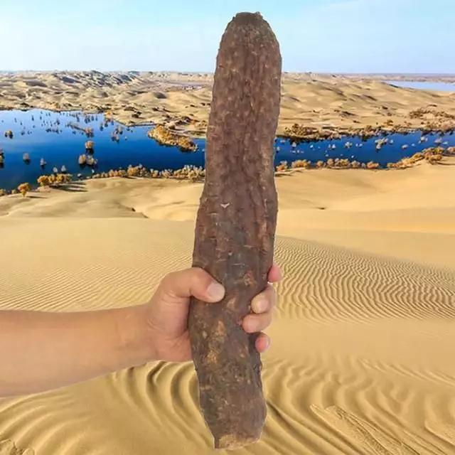 1576059119207284.jpg 微信图片_20191121104654.jpg