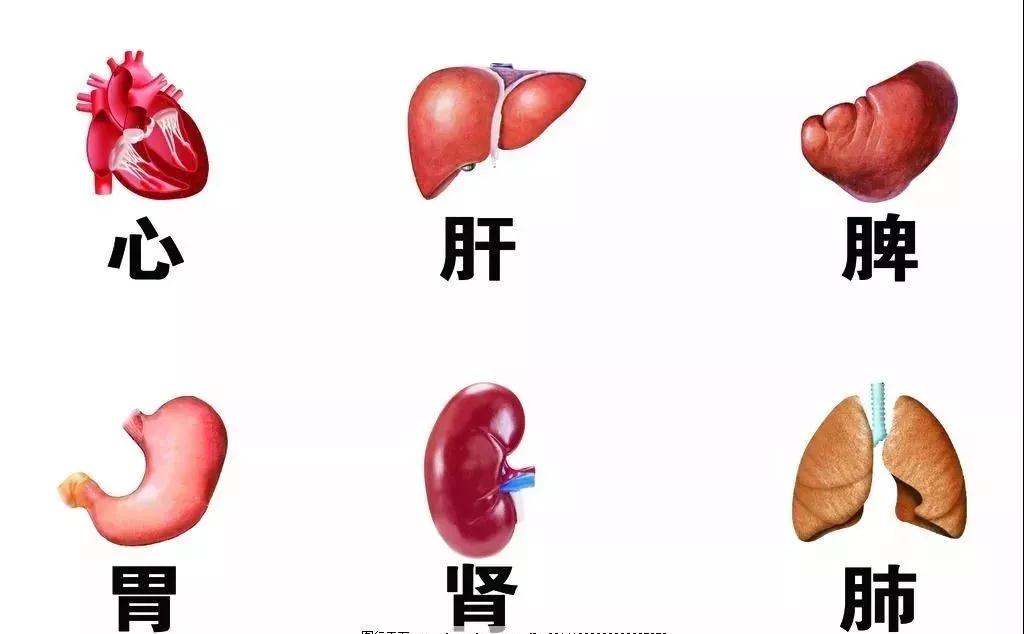 1576119824253586.jpg 微信图片_20191212110237.jpg