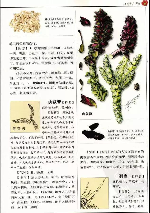 1576119949612256.jpg 微信图片_20191212110255.jpg