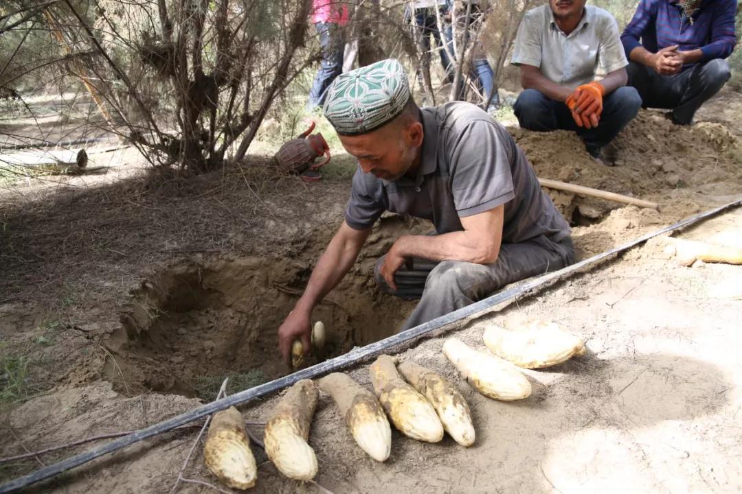 1576492006873803.jpg 微信图片_20191119120758.jpg