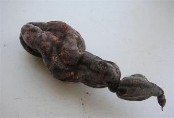 1577938657643583.jpg u=1103000524,4140770228&fm=26&gp=0.jpg