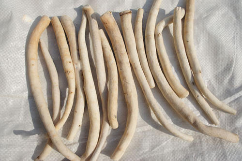 1577938744836925.jpg u=4005952961,2444380152&fm=26&gp=0.jpg