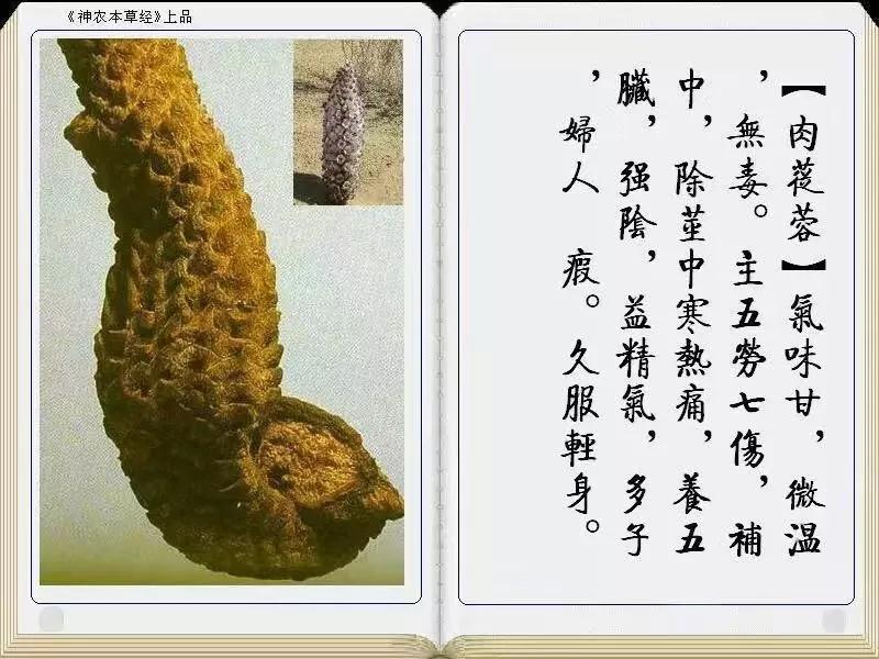 1579401310130222.jpg 微信图片_20200103170113.jpg