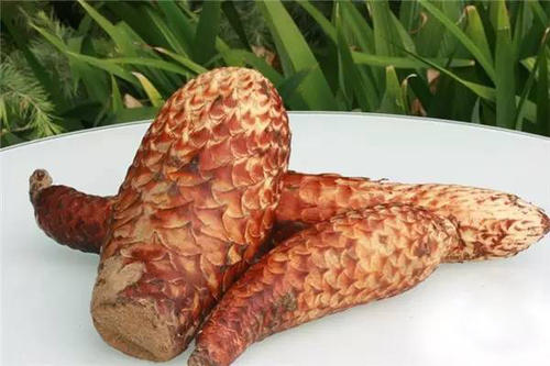 1586744561966020.jpg u=144630222,2954033242&fm=26&gp=0.jpg