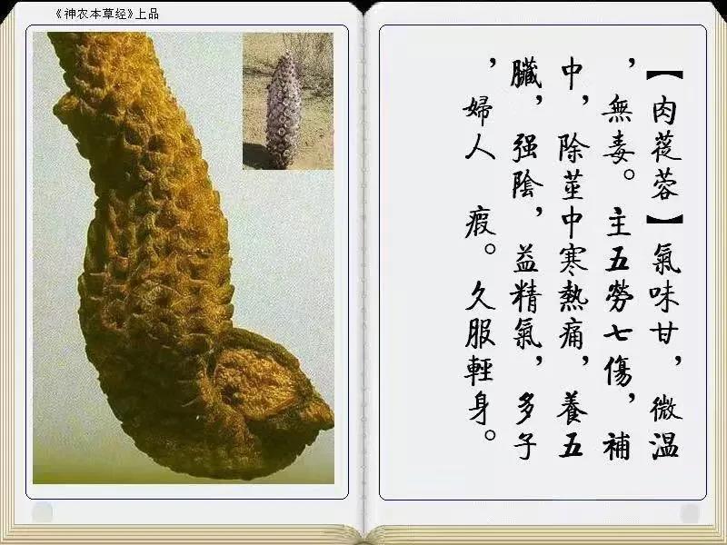 1594802476281513.jpg 微信图片_20200715163935.jpg