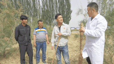 1599127909721470.gif 微信图片_20200903180356.gif
