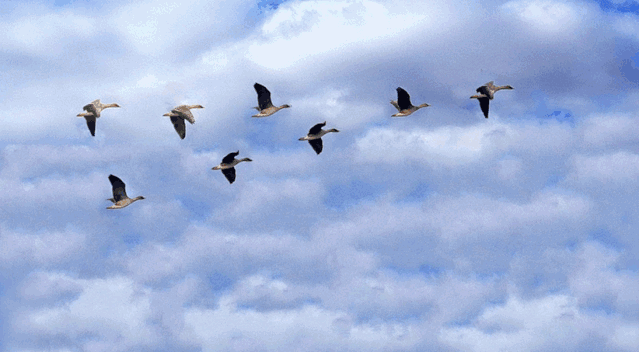 1600742423437202.gif 微信图片_20200922103845.gif