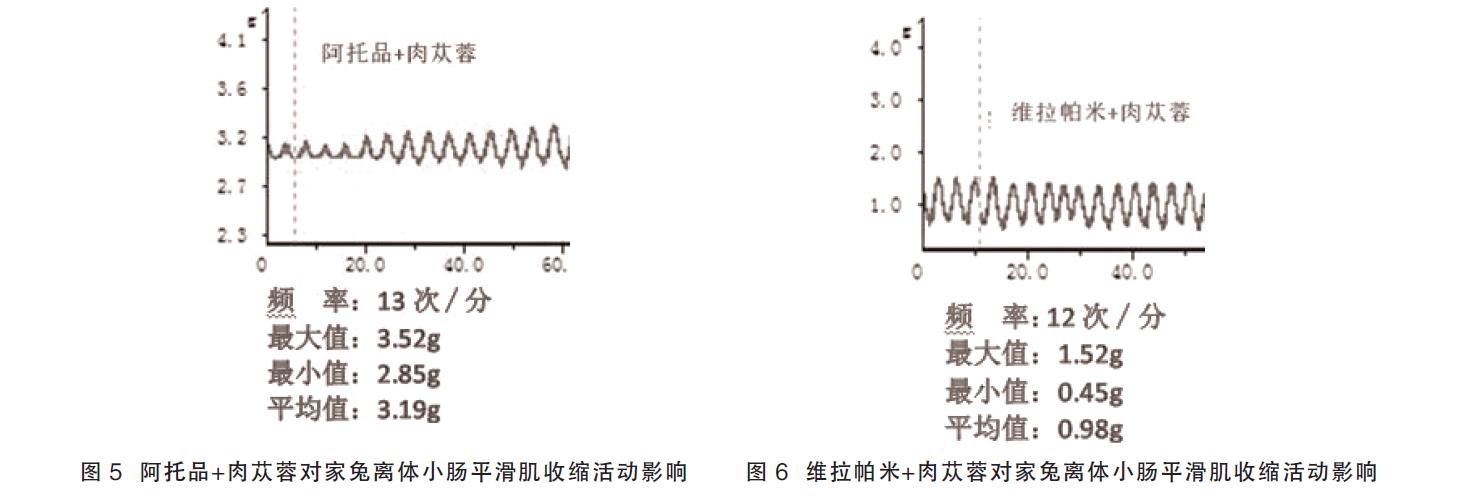 肉苁蓉 www.www.wagawa.com 肉苁蓉 www.www.wagawa.com