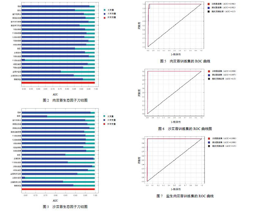 肉苁蓉 www.www.wagawa.com 肉苁蓉 www.www.wagawa.com