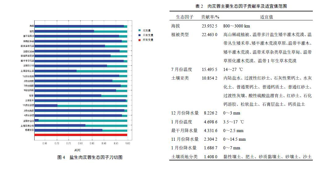 肉苁蓉 www.www.wagawa.com 肉苁蓉 www.www.wagawa.com