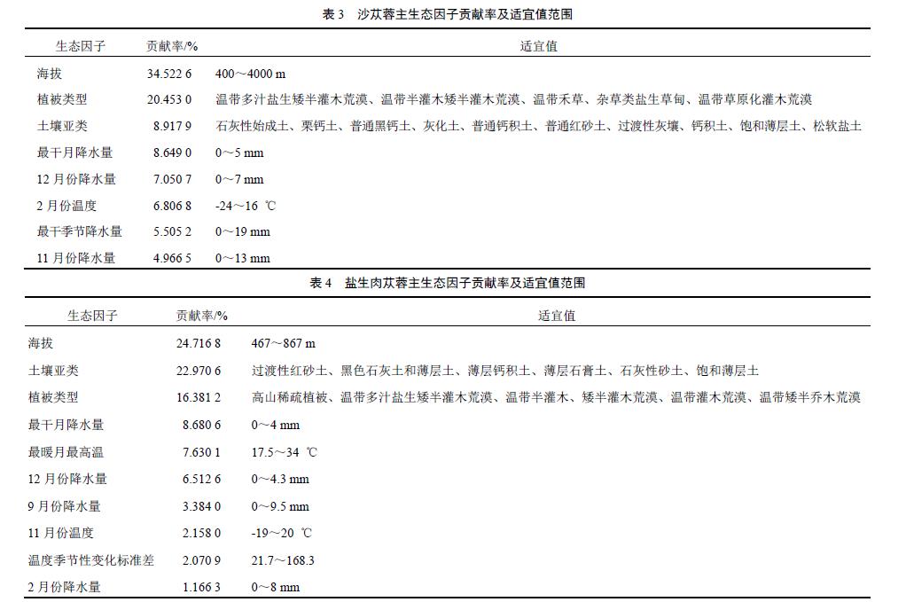 肉苁蓉 www.www.wagawa.com 肉苁蓉 www.www.wagawa.com