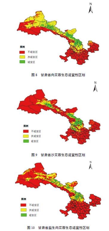 肉苁蓉 www.www.wagawa.com 肉苁蓉 www.www.wagawa.com