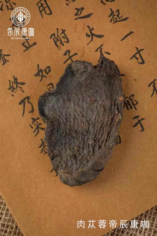 肉苁蓉 www.www.wagawa.com 肉苁蓉 www.www.wagawa.com