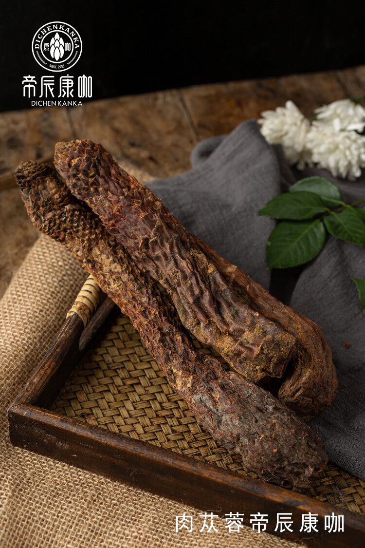 肉苁蓉 www.www.wagawa.com 肉苁蓉 www.www.wagawa.com