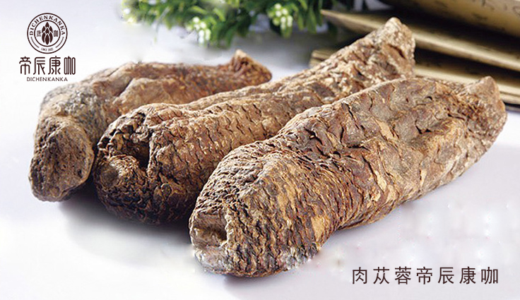肉苁蓉 www.www.wagawa.com 肉苁蓉 www.www.wagawa.com