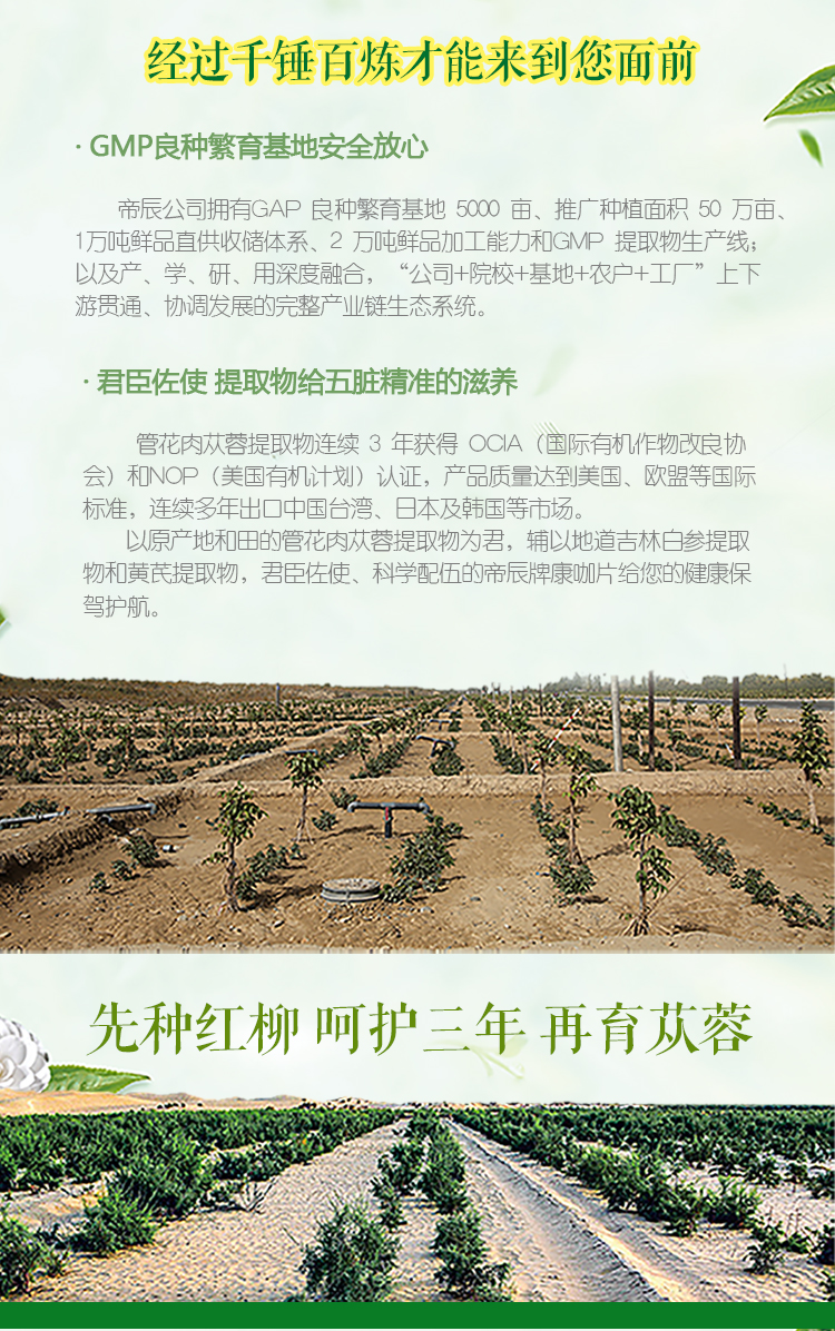 新金樽_04.jpg