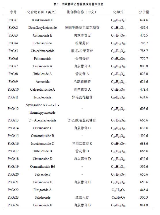肉苁蓉 www.www.wagawa.com