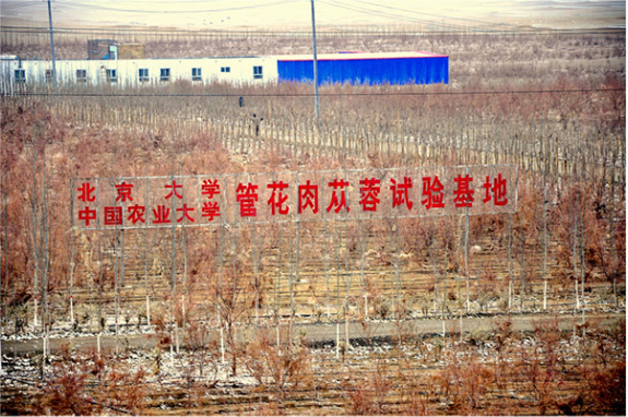 德赢vwin登录生产基地