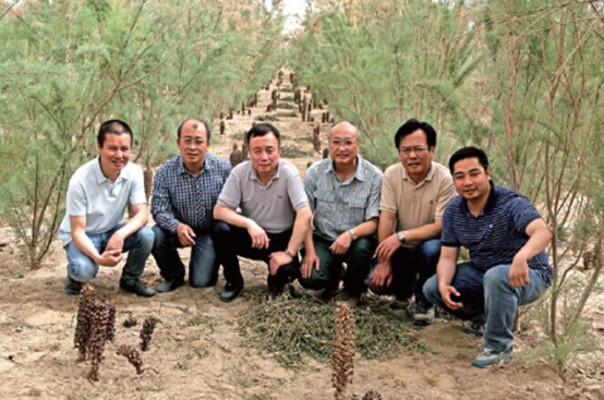 红柳根部的德赢vwin登录
